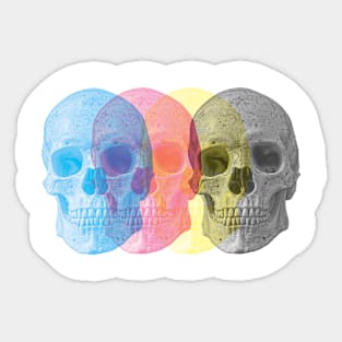 Skull Print Split Sticker